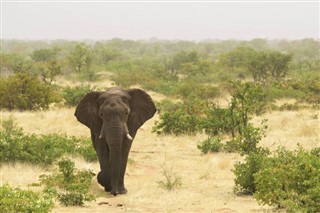 Namibia