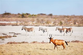 Namibia aikavyöhykkeitä