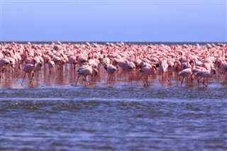 Namibia