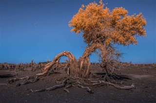 Namibia