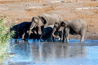 Namibija vremenske zone