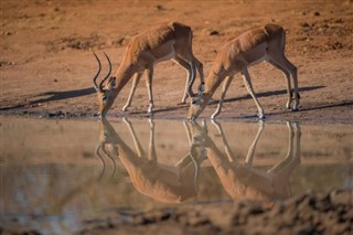 Namibia