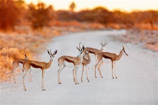 Namibia