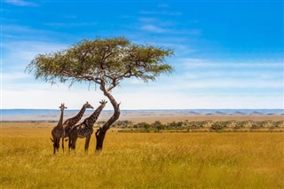 Namibia