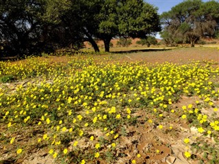 Namibië