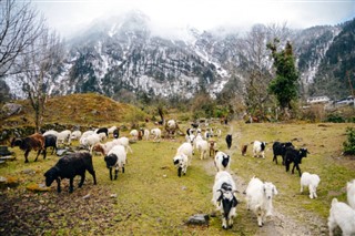 Nepal