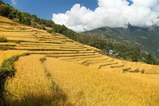 尼泊尔