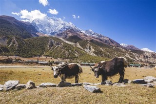 Nepal