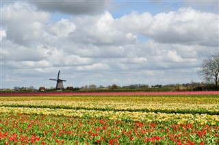 オランダ