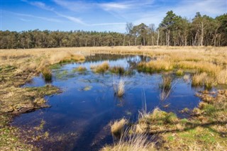 Nyderlandai