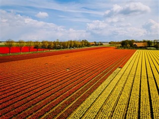 Netherlands