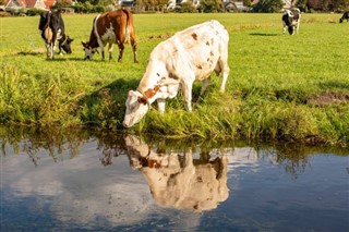 オランダ 気象ゾーン