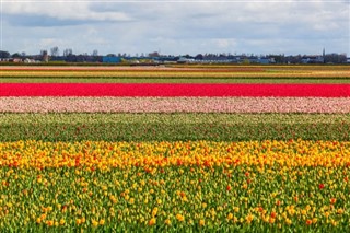 Niederlande Wetterzonen