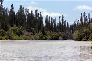 Naujoji