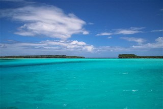 Naujoji