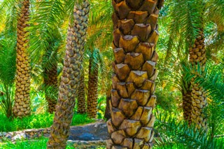 Оман