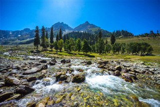 पाकिस्तान