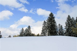 باكستان