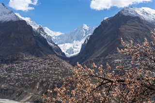 باكستان