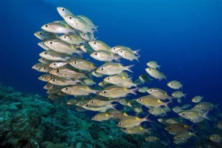 Palau