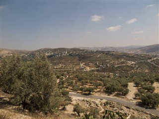 Palesztína