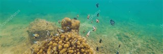 Palmyra Atoll zaman dilimleri