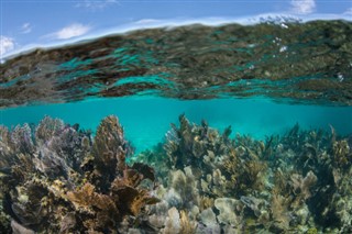パルミラ環礁 気象ゾーン