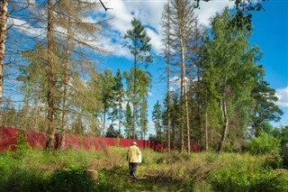 Панама