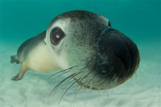 西沙諸島