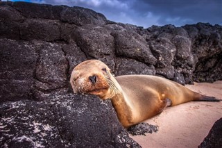 西沙諸島