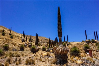 Perú