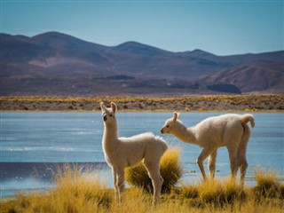 Perú