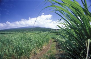 Réunion