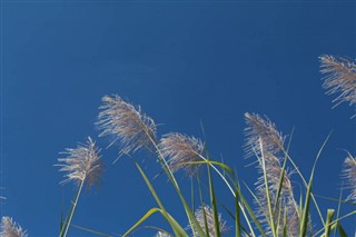 Réunion