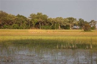 রুয়ান্ডা