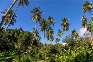 Sfânta