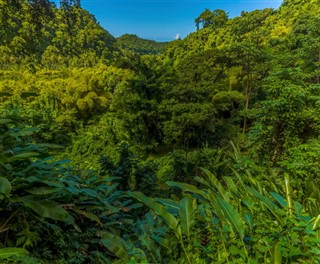 圣文森特和格林纳丁斯