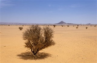 サウジアラビア