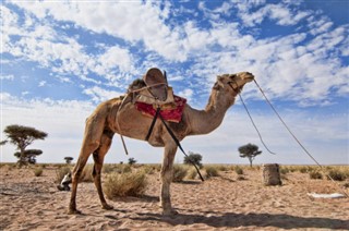 サウジアラビア