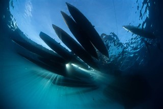 ソロモン諸島