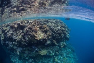 ソロモン諸島