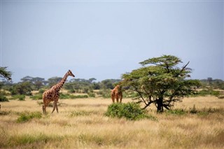 Somalia time zones