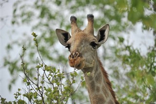 Južni Sudan vremenske zone