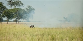 南スーダン