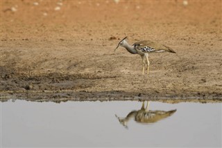 南スーダン