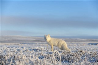 Svalbard