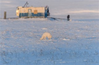 Svalbard