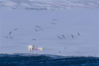 Svalbard time zones