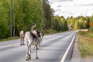 Svezia