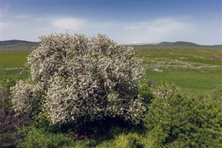 סוּריָה אזורי מזג האוויר